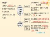 备战2025届新高考生物一轮总复习第9单元生物与环境第45讲生态系统的物质循环信息传递及其稳定性课件