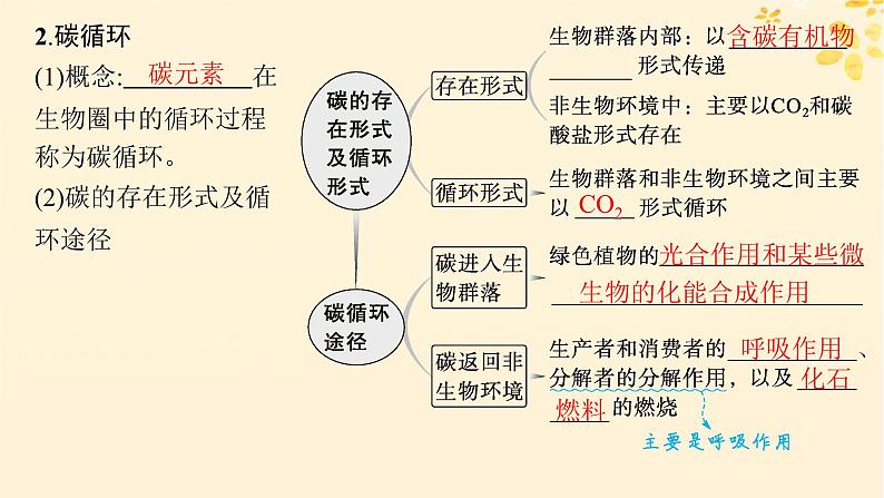 备战2025届新高考生物一轮总复习第9单元生物与环境第45讲生态系统的物质循环信息传递及其稳定性课件05