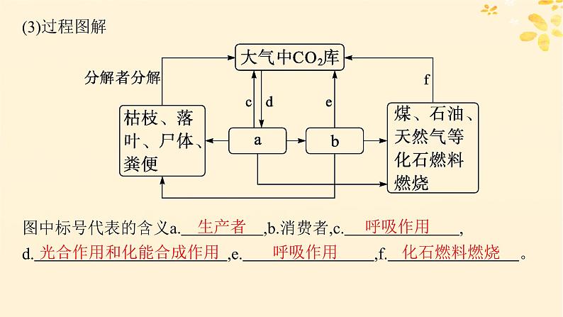 备战2025届新高考生物一轮总复习第9单元生物与环境第45讲生态系统的物质循环信息传递及其稳定性课件06