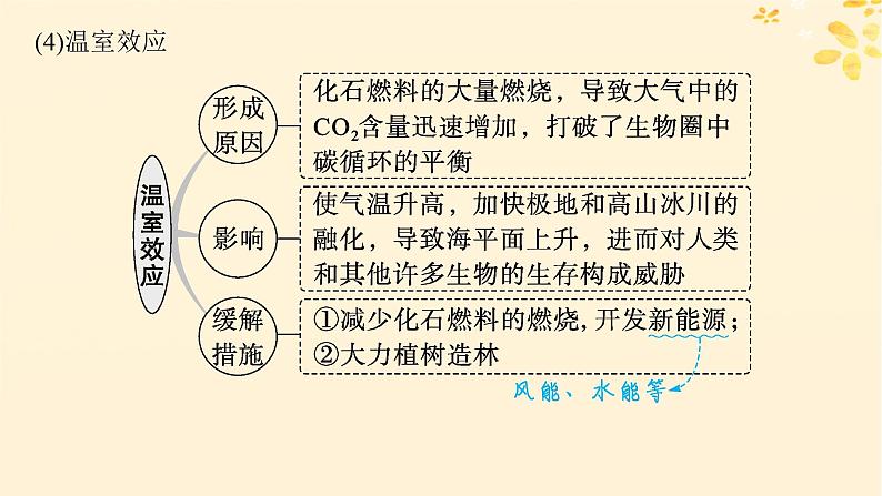 备战2025届新高考生物一轮总复习第9单元生物与环境第45讲生态系统的物质循环信息传递及其稳定性课件08