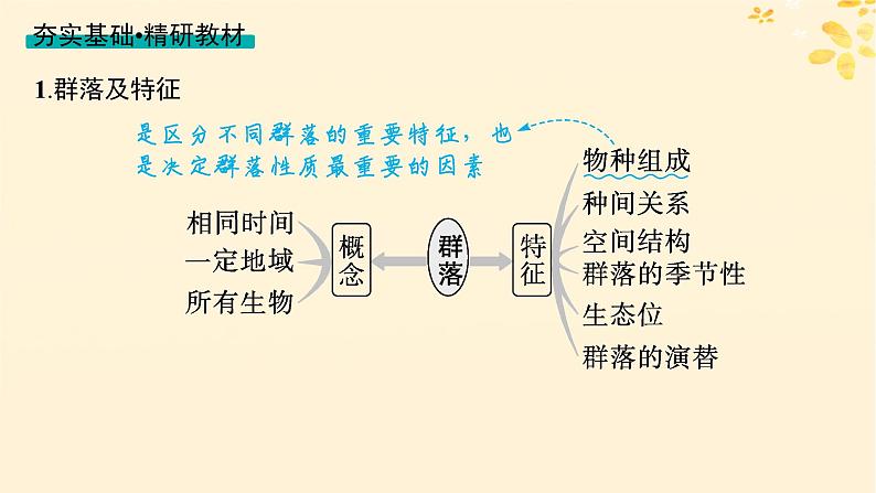 备战2025届新高考生物一轮总复习第9单元生物与环境第42讲群落及其演替课件04