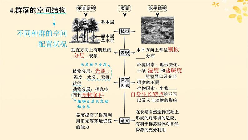 备战2025届新高考生物一轮总复习第9单元生物与环境第42讲群落及其演替课件08