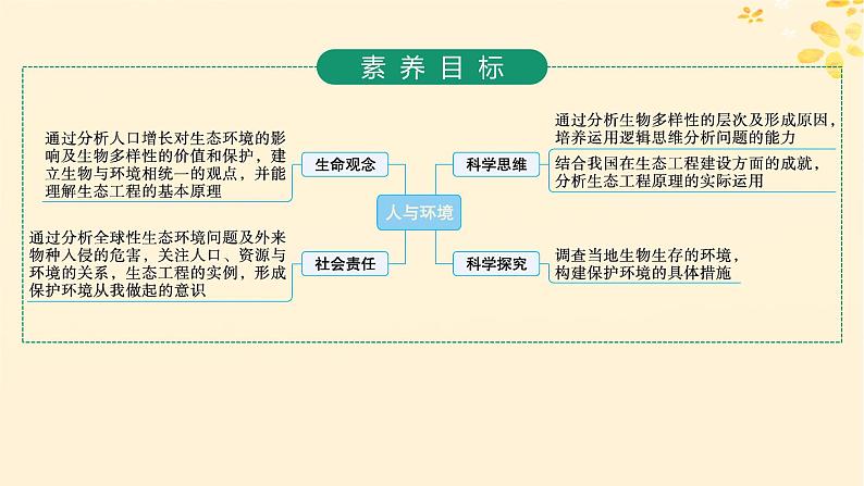 备战2025届新高考生物一轮总复习第9单元生物与环境第46讲人与环境课件02