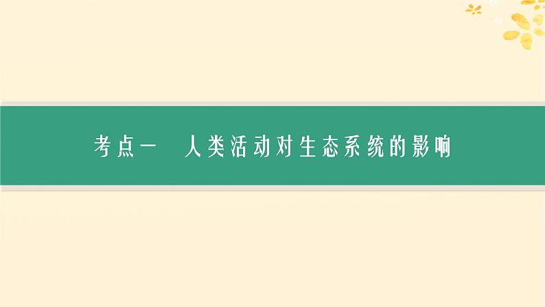 备战2025届新高考生物一轮总复习第9单元生物与环境第46讲人与环境课件03