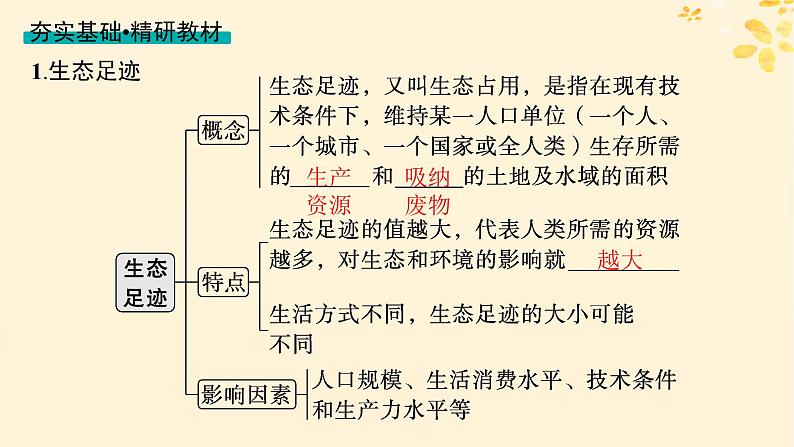 备战2025届新高考生物一轮总复习第9单元生物与环境第46讲人与环境课件04