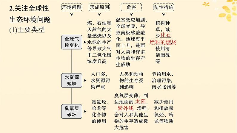 备战2025届新高考生物一轮总复习第9单元生物与环境第46讲人与环境课件05