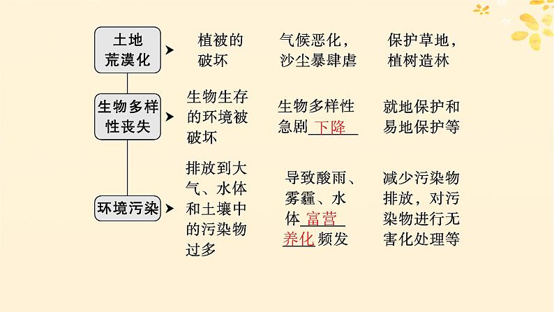 备战2025届新高考生物一轮总复习第9单元生物与环境第46讲人与环境课件06