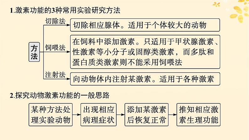 备战2025届新高考生物一轮总复习第8单元稳态与调节专题精研课12体液调节的相关实验探究课件02