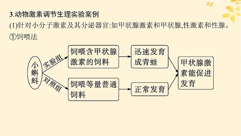 备战2025届新高考生物一轮总复习第8单元稳态与调节专题精研课12体液调节的相关实验探究课件03