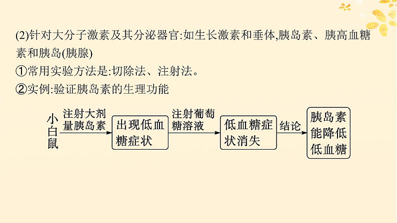 备战2025届新高考生物一轮总复习第8单元稳态与调节专题精研课12体液调节的相关实验探究课件05