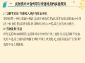 备战2025届新高考生物一轮总复习第8单元稳态与调节专题精研课11兴奋传导及相关实验探究课件