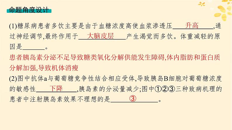 备战2025届新高考生物一轮总复习第8单元稳态与调节情境突破课7糖尿病的致病机理及治疗课件第3页