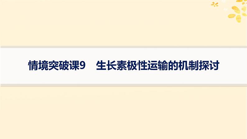 备战2025届新高考生物一轮总复习第8单元稳态与调节情境突破课9生长素极性运输的机制探讨课件第1页