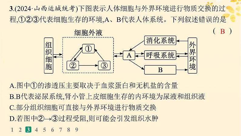 备战2025届新高考生物一轮总复习第8单元稳态与调节课时规范练30人体的内环境与稳态课件07