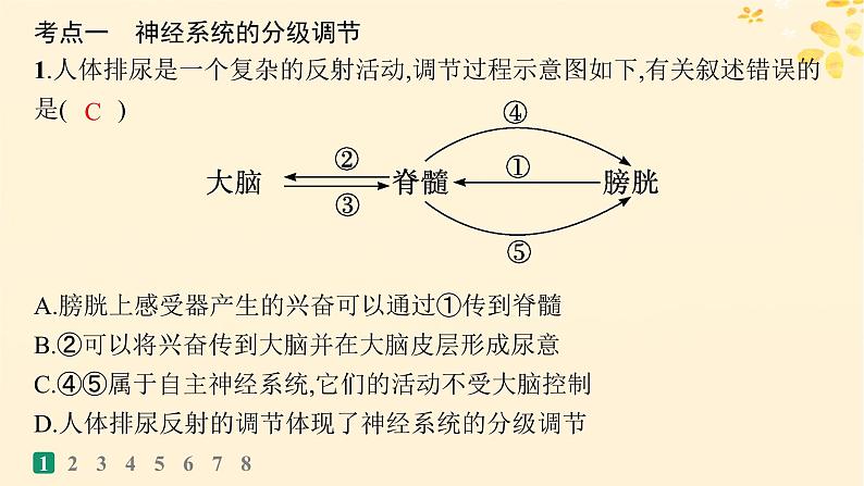 备战2025届新高考生物一轮总复习第8单元稳态与调节课时规范练33神经系统的分级调节及人脑的高级功能课件03