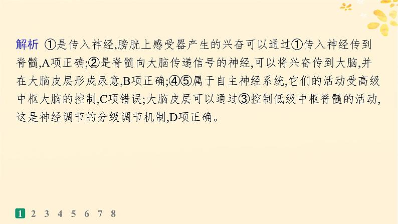 备战2025届新高考生物一轮总复习第8单元稳态与调节课时规范练33神经系统的分级调节及人脑的高级功能课件04