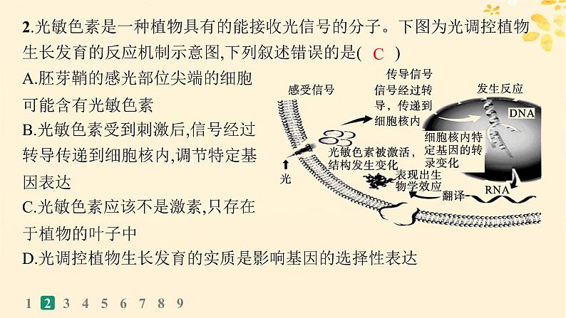 备战2025届新高考生物一轮总复习第8单元稳态与调节课时规范练40环境因素参与调节植物的生命活动课件05