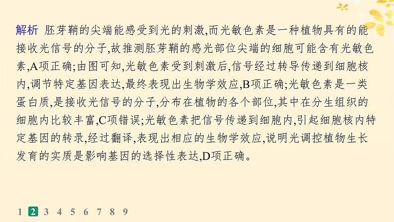 备战2025届新高考生物一轮总复习第8单元稳态与调节课时规范练40环境因素参与调节植物的生命活动课件06