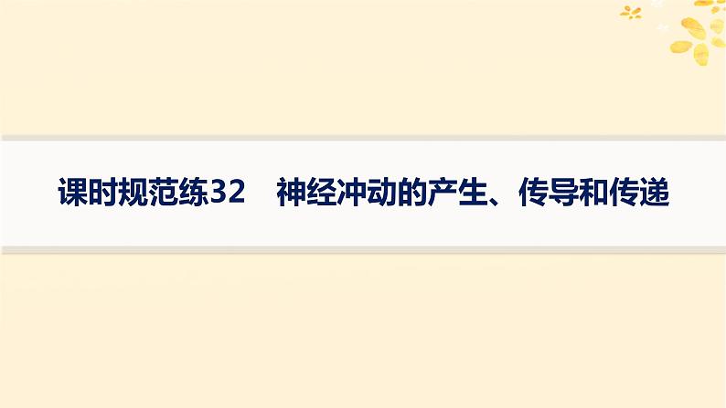 备战2025届新高考生物一轮总复习第8单元稳态与调节课时规范练32神经冲动的产生传导和传递课件第1页
