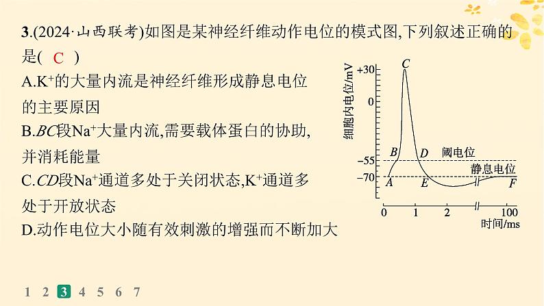 备战2025届新高考生物一轮总复习第8单元稳态与调节课时规范练32神经冲动的产生传导和传递课件第7页