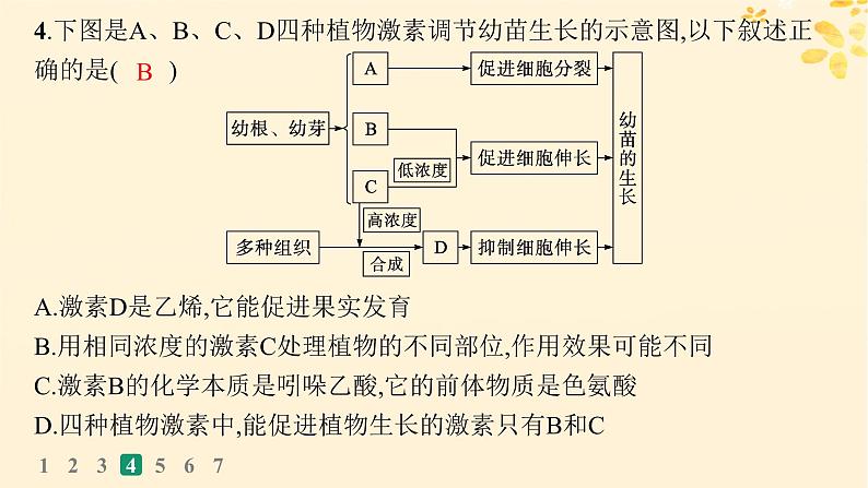 备战2025届新高考生物一轮总复习第8单元稳态与调节课时规范练39其他植物激素及调节植物生长调节剂的应用课件08