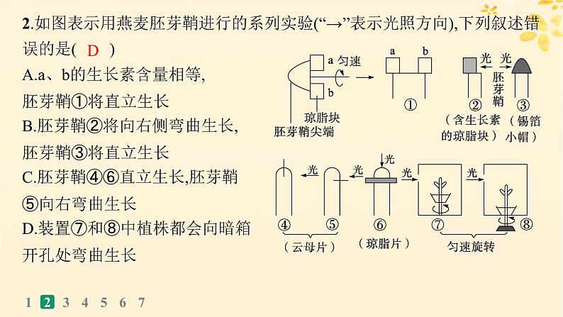 备战2025届新高考生物一轮总复习第8单元稳态与调节课时规范练38植物生长素及其生理作用课件第5页