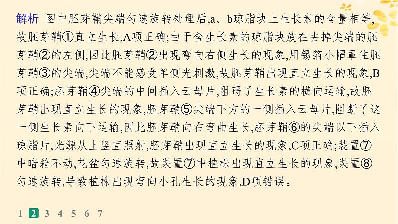 备战2025届新高考生物一轮总复习第8单元稳态与调节课时规范练38植物生长素及其生理作用课件第6页