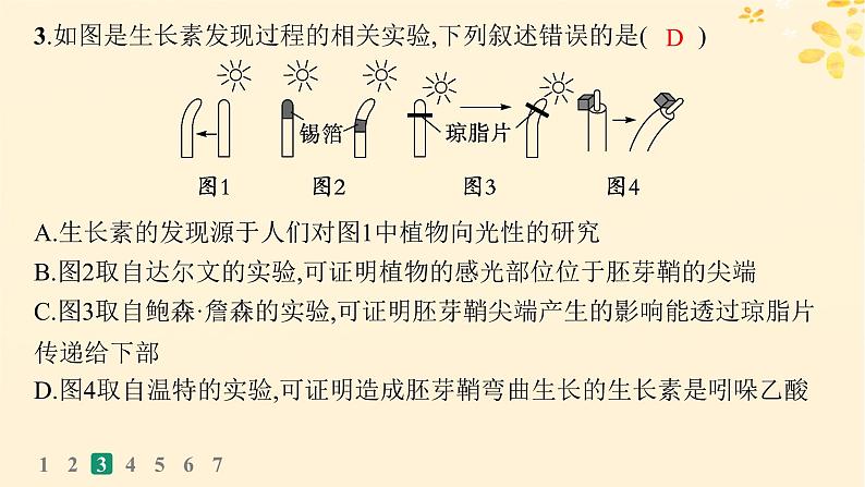 备战2025届新高考生物一轮总复习第8单元稳态与调节课时规范练38植物生长素及其生理作用课件第7页