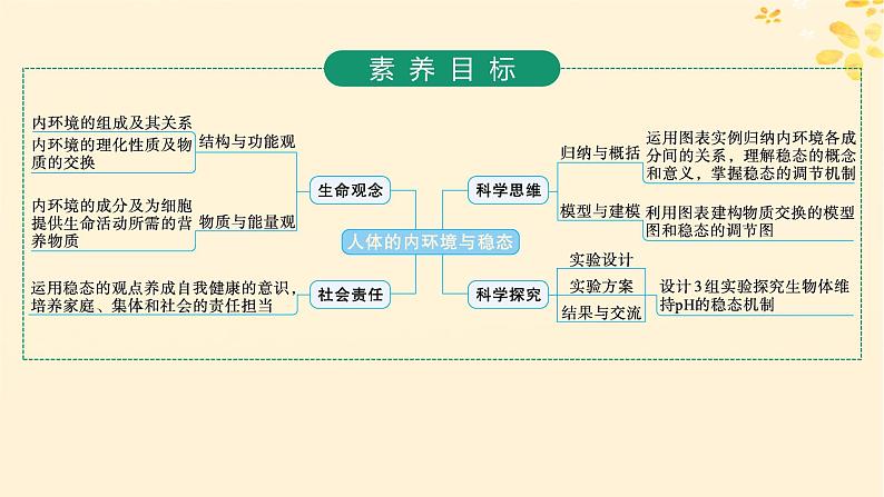 备战2025届新高考生物一轮总复习第8单元稳态与调节第30讲人体的内环境与稳态课件02