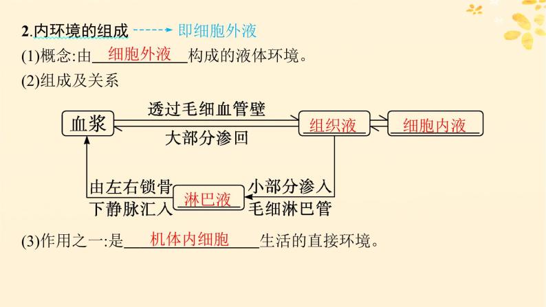 备战2025届新高考生物一轮总复习第8单元稳态与调节第30讲人体的内环境与稳态课件05