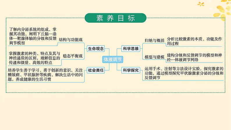 备战2025届新高考生物一轮总复习第8单元稳态与调节第34讲体液调节课件02