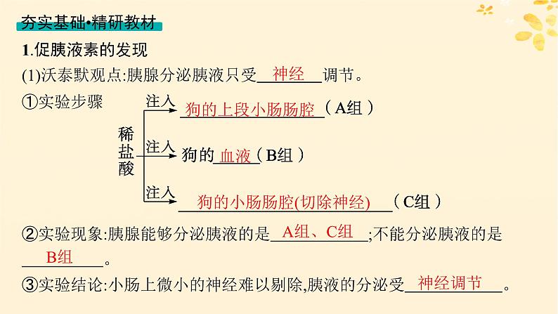 备战2025届新高考生物一轮总复习第8单元稳态与调节第34讲体液调节课件04