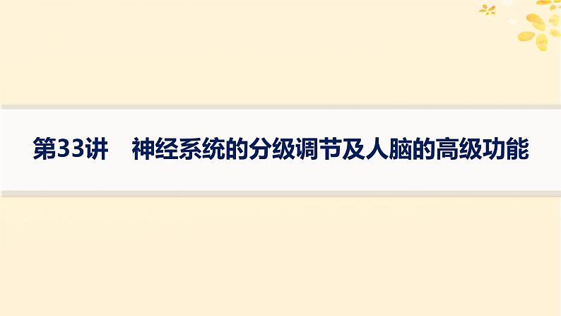 备战2025届新高考生物一轮总复习第8单元稳态与调节第33讲神经系统的分级调节及人脑的高级功能课件01