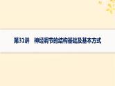 备战2025届新高考生物一轮总复习第8单元稳态与调节第31讲神经调节的结构基础及基本方式课件