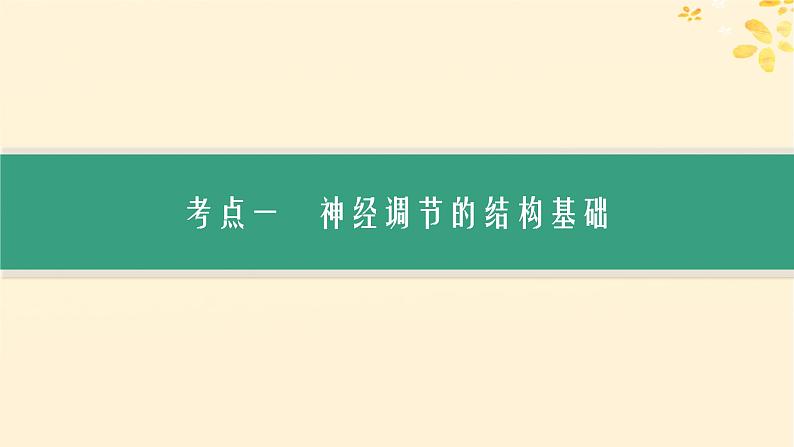 备战2025届新高考生物一轮总复习第8单元稳态与调节第31讲神经调节的结构基础及基本方式课件03