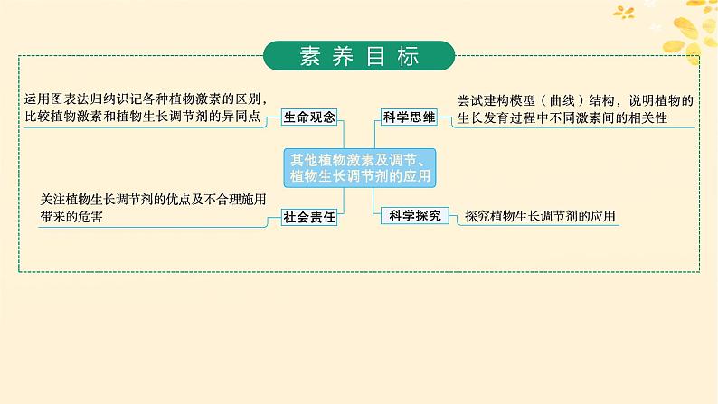 备战2025届新高考生物一轮总复习第8单元稳态与调节第39讲其他植物激素及调节植物生长调节剂的应用课件第2页