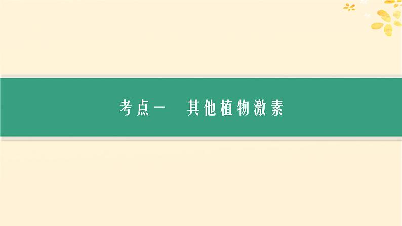 备战2025届新高考生物一轮总复习第8单元稳态与调节第39讲其他植物激素及调节植物生长调节剂的应用课件第3页