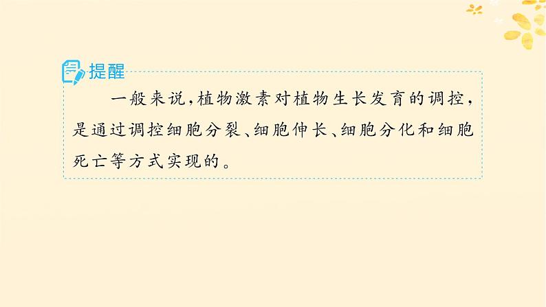 备战2025届新高考生物一轮总复习第8单元稳态与调节第39讲其他植物激素及调节植物生长调节剂的应用课件第6页