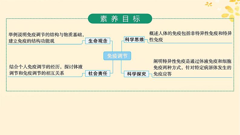 备战2025届新高考生物一轮总复习第8单元稳态与调节第36讲免疫调节课件02