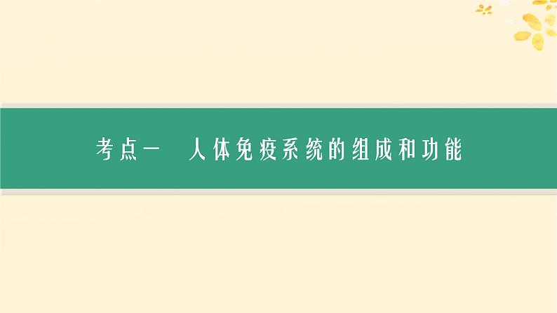 备战2025届新高考生物一轮总复习第8单元稳态与调节第36讲免疫调节课件03