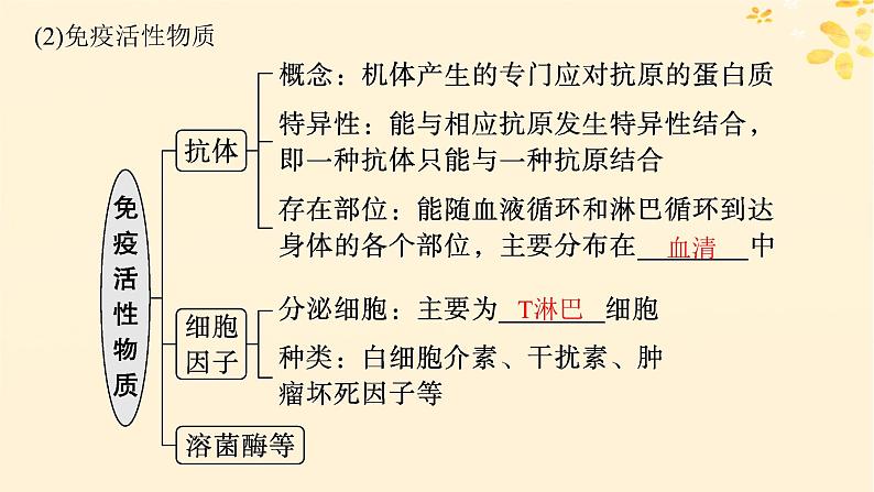 备战2025届新高考生物一轮总复习第8单元稳态与调节第36讲免疫调节课件07