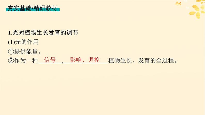 备战2025届新高考生物一轮总复习第8单元稳态与调节第40讲环境因素参与调节植物的生命活动课件03