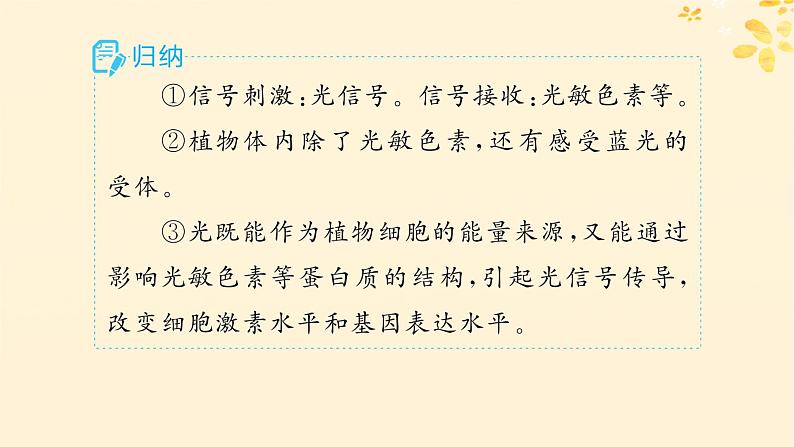 备战2025届新高考生物一轮总复习第8单元稳态与调节第40讲环境因素参与调节植物的生命活动课件06