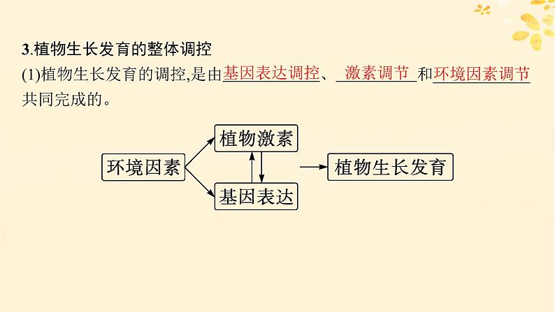 备战2025届新高考生物一轮总复习第8单元稳态与调节第40讲环境因素参与调节植物的生命活动课件08