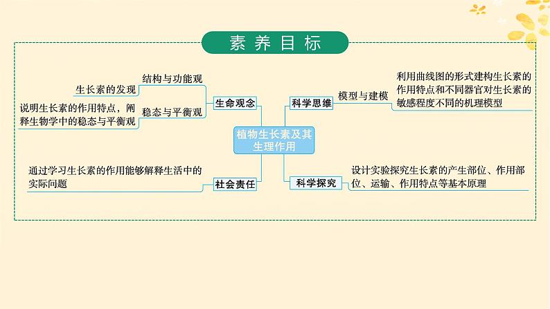 备战2025届新高考生物一轮总复习第8单元稳态与调节第38讲植物生长素及其生理作用课件02