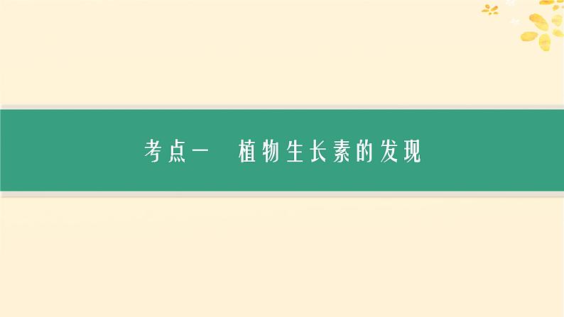 备战2025届新高考生物一轮总复习第8单元稳态与调节第38讲植物生长素及其生理作用课件03