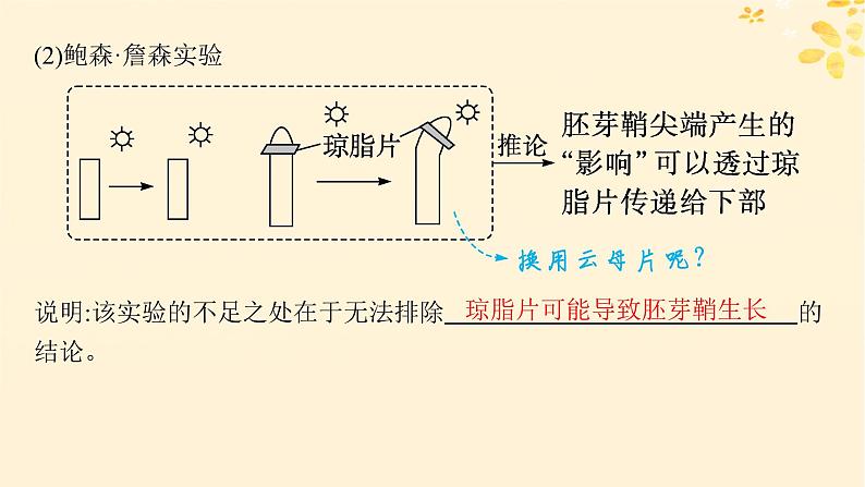 备战2025届新高考生物一轮总复习第8单元稳态与调节第38讲植物生长素及其生理作用课件05