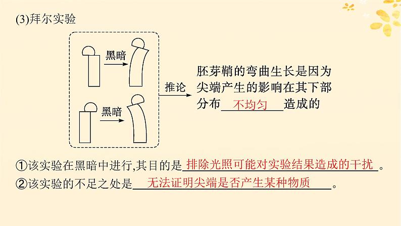 备战2025届新高考生物一轮总复习第8单元稳态与调节第38讲植物生长素及其生理作用课件06