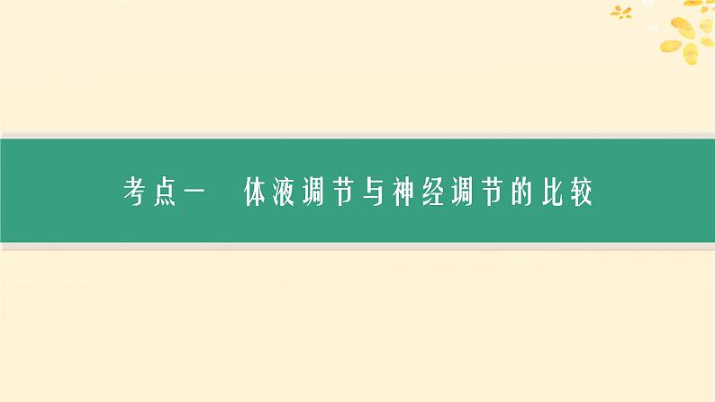 备战2025届新高考生物一轮总复习第8单元稳态与调节第35讲神经调节与体液调节的关系课件03