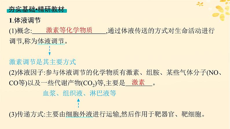 备战2025届新高考生物一轮总复习第8单元稳态与调节第35讲神经调节与体液调节的关系课件04